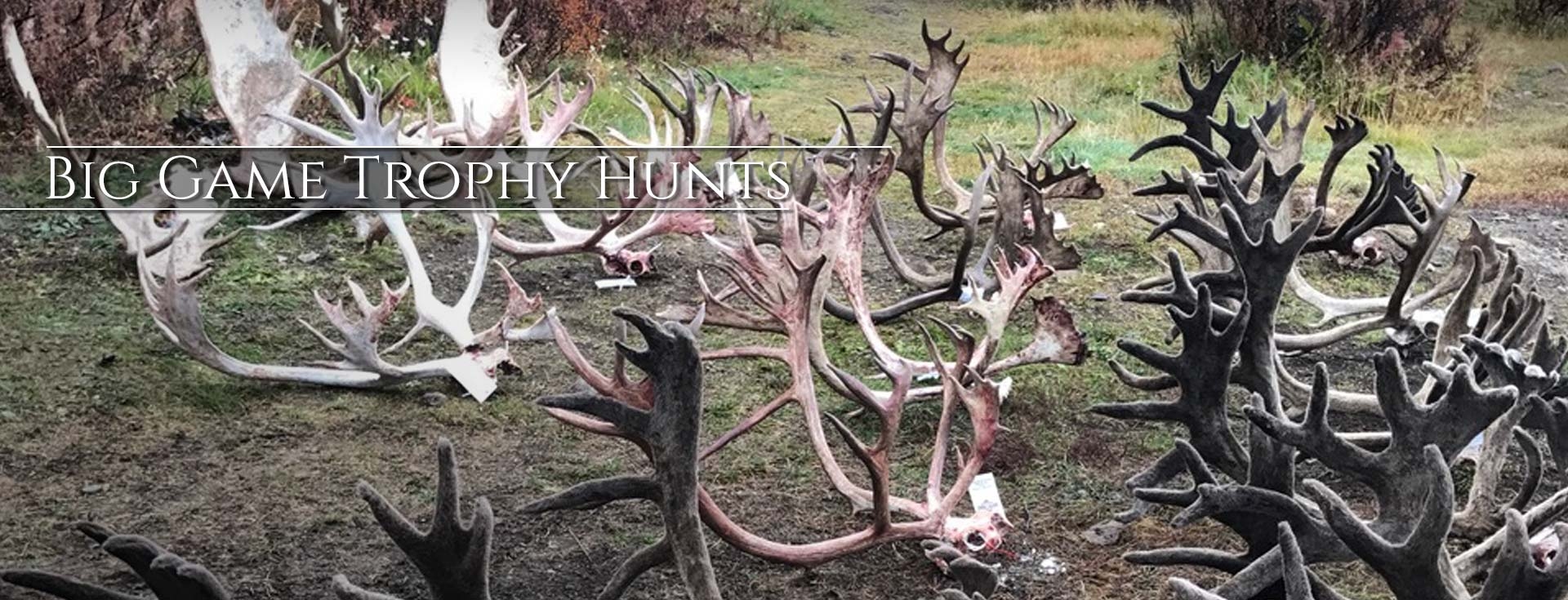 Big Game Trophy Hunts