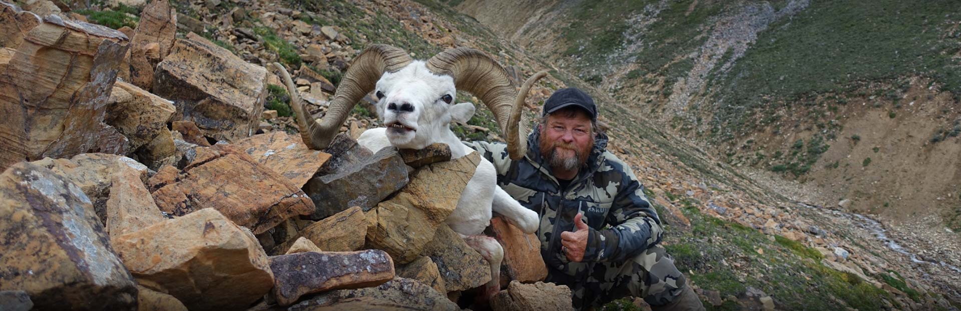 Dall Sheep Hunts - NWT, Canada
