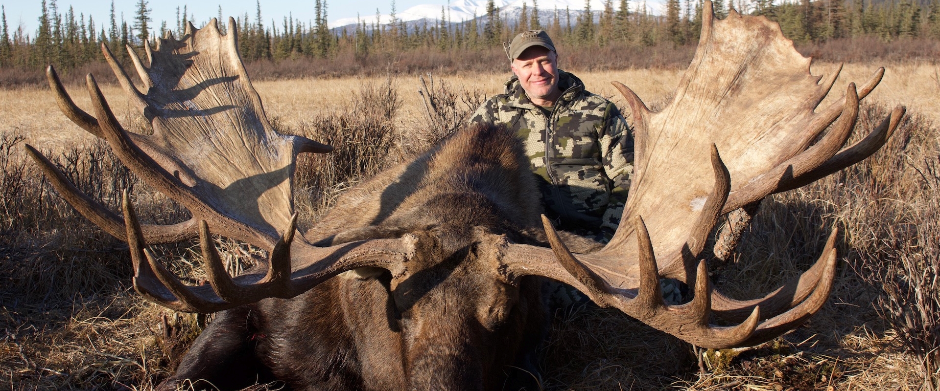 Alaskan Yukon Moose - NWT, Canada